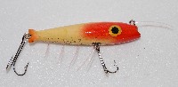 Porter Shrimp with feelers